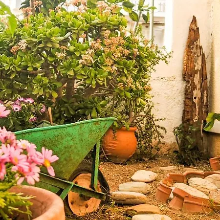 Aparthotel Knossos